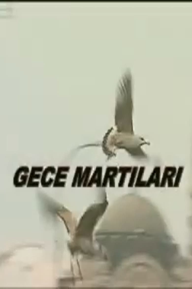 Gece Martıları 2000